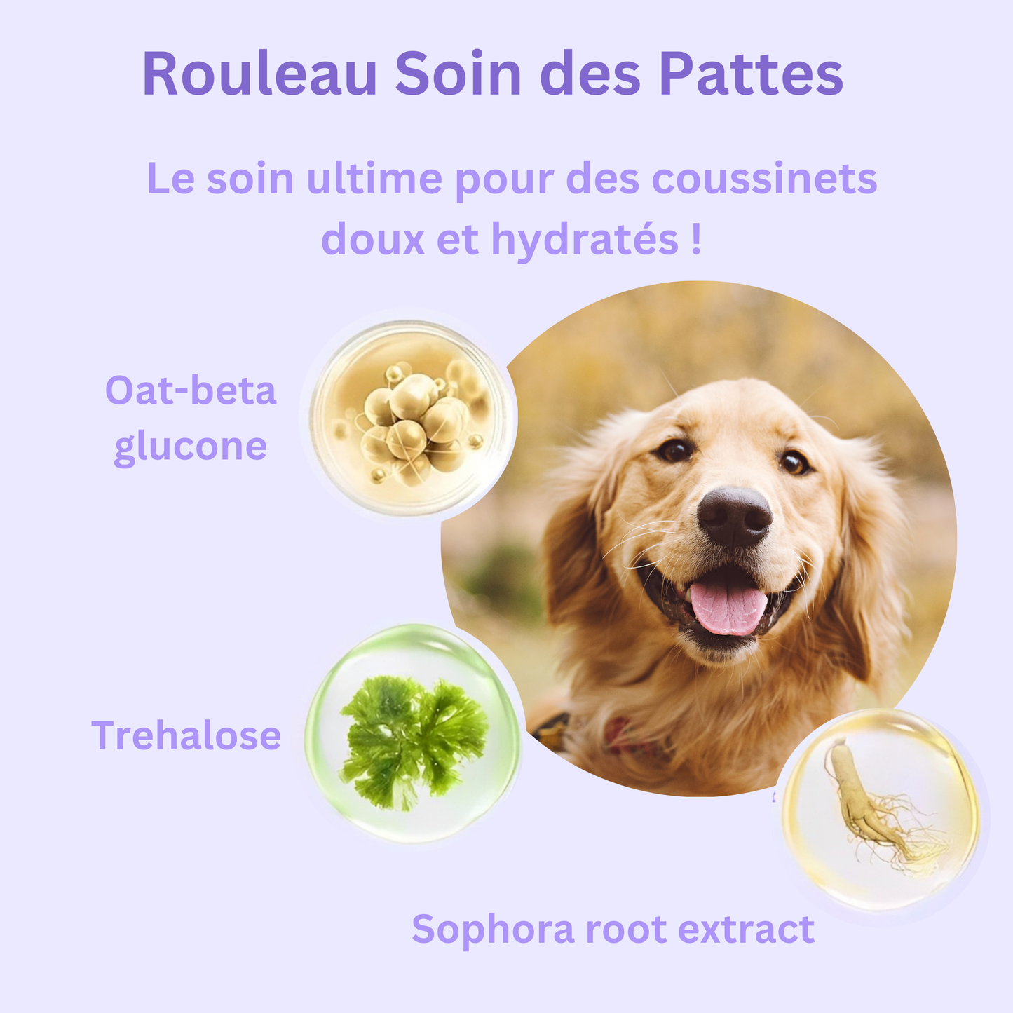 Rouleau Soin des Pattes™