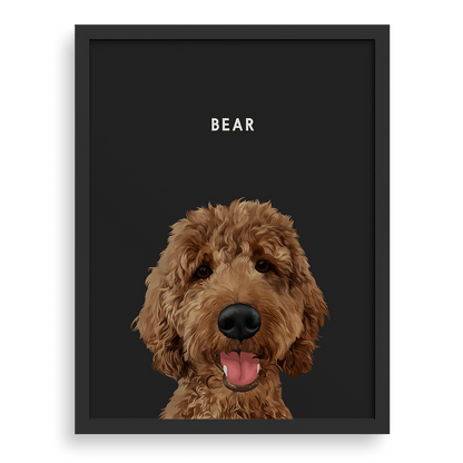 Pet Portrait