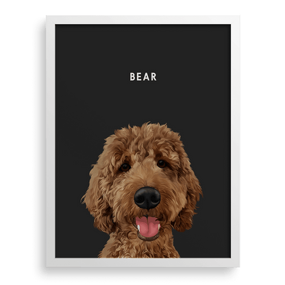 Pet Portrait
