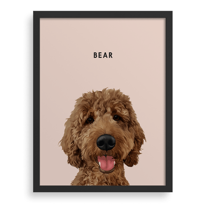 Pet Portrait