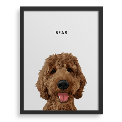 Pet Portrait