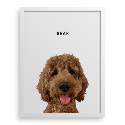 Pet Portrait