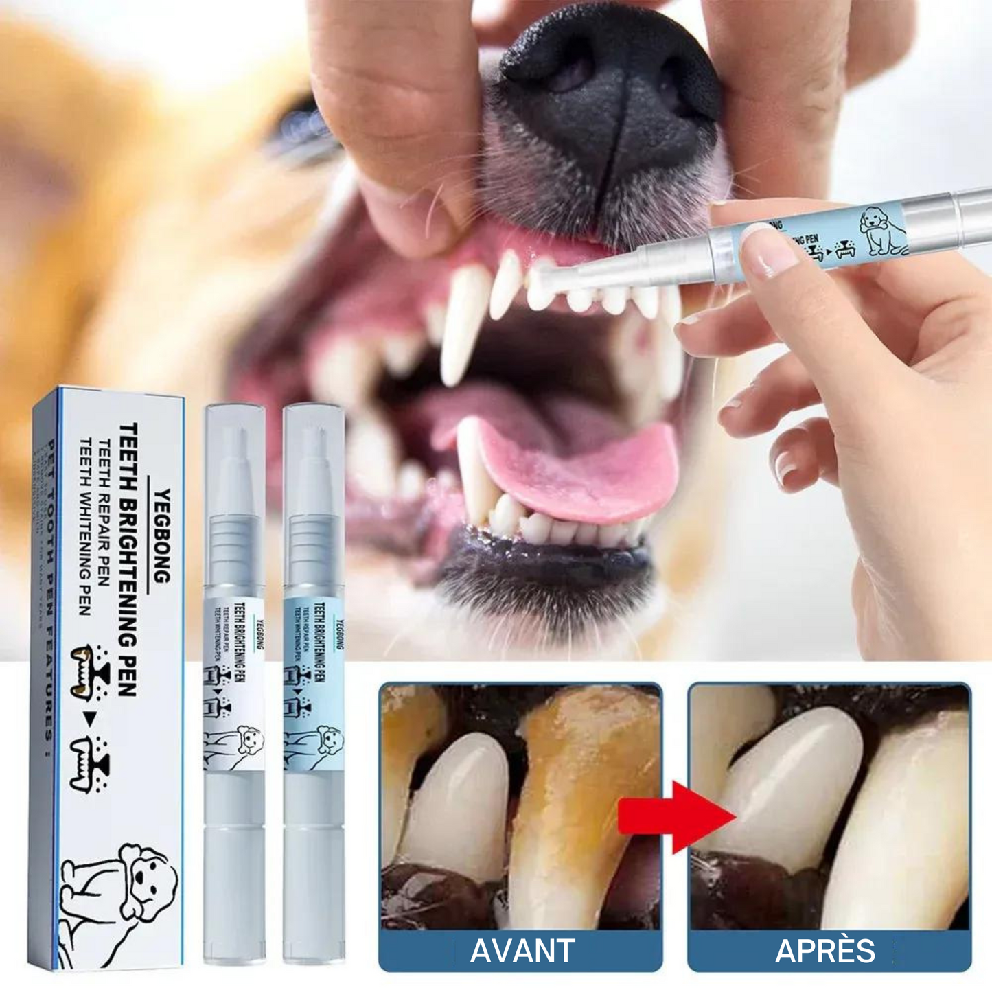 Brosse à Dents Stylo pour Animaux