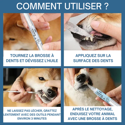 Brosse à Dents Stylo pour Animaux