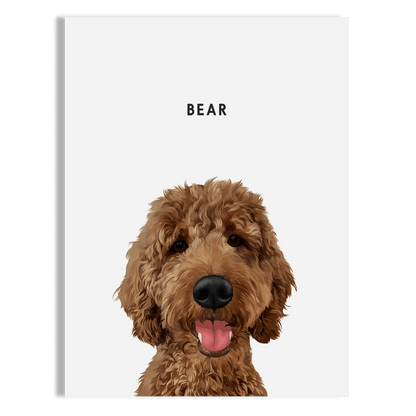Pet Portrait
