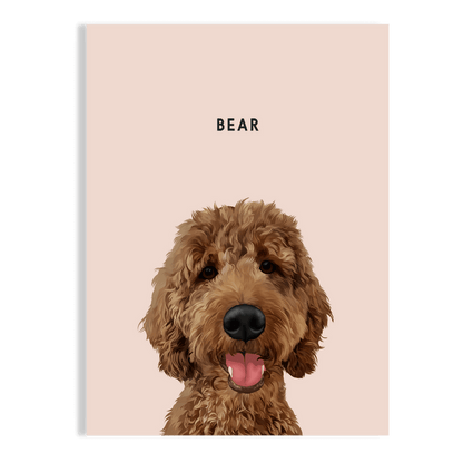 Pet Portrait