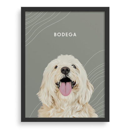 Pet Portrait